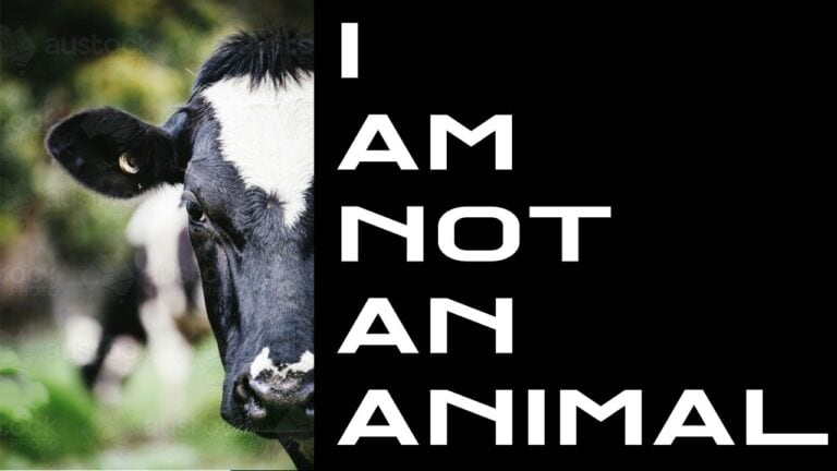 Harry’s Video Blog – I Am Not An Animal – Tzav 5775