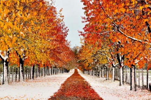 Fall and Winter – Gateways Org