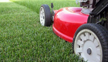 Mowing The Lawn