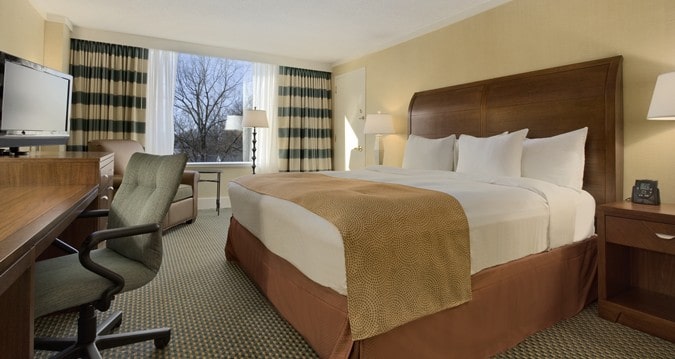 Stamford Hilton King Room