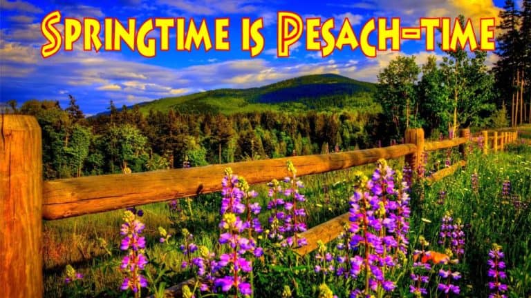 Springtime is Pesach-time