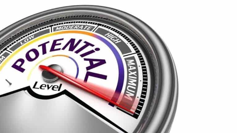 Harry’s Video Blog – Lots of Potential – Parshat Korach 5779