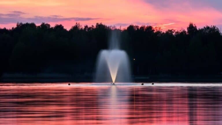 Harry’s Video Blog – The Fountain of Youth – Parshat Nitzavim-Vayeilech 5780