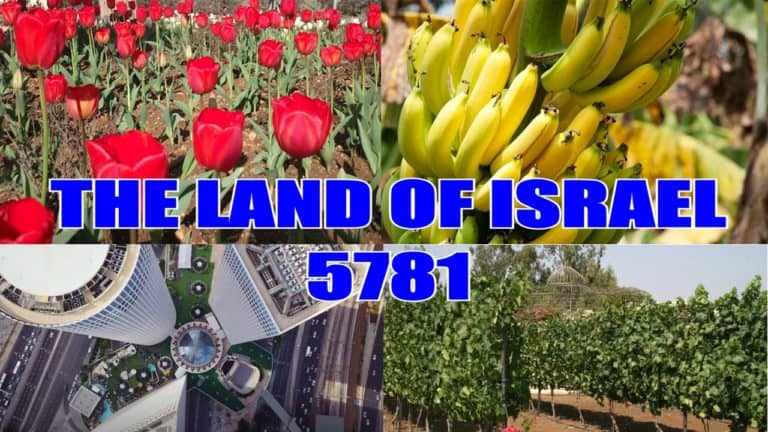 The Land of Israel – 5781