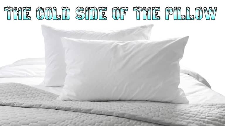 Harry’s Video Blog – The Cold Side of the Pillow – Purim 5784