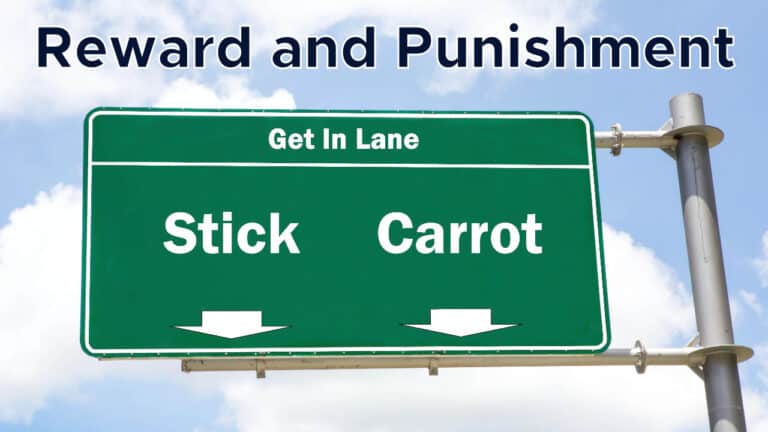 Harry’s Video Blog – Reward and Punishment – Parshat Ki Tavo 5785